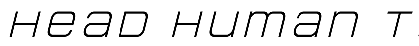 Font Head Human Title Italic by Daniel Zadorozny