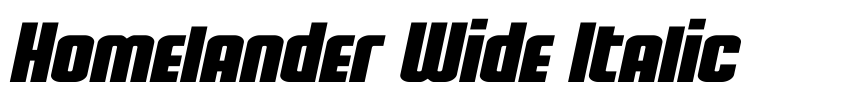 Preview Homelander Wide Italic