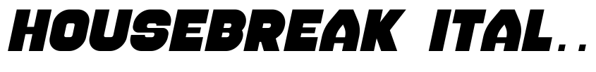 Preview Housebreak Italic