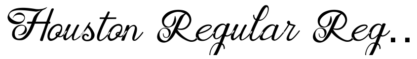 Preview Houston Regular Regular