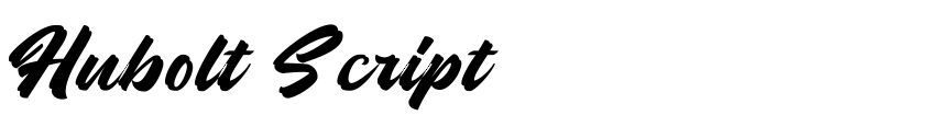 Preview Hubolt Script