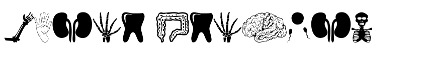 Preview Human Anatomy