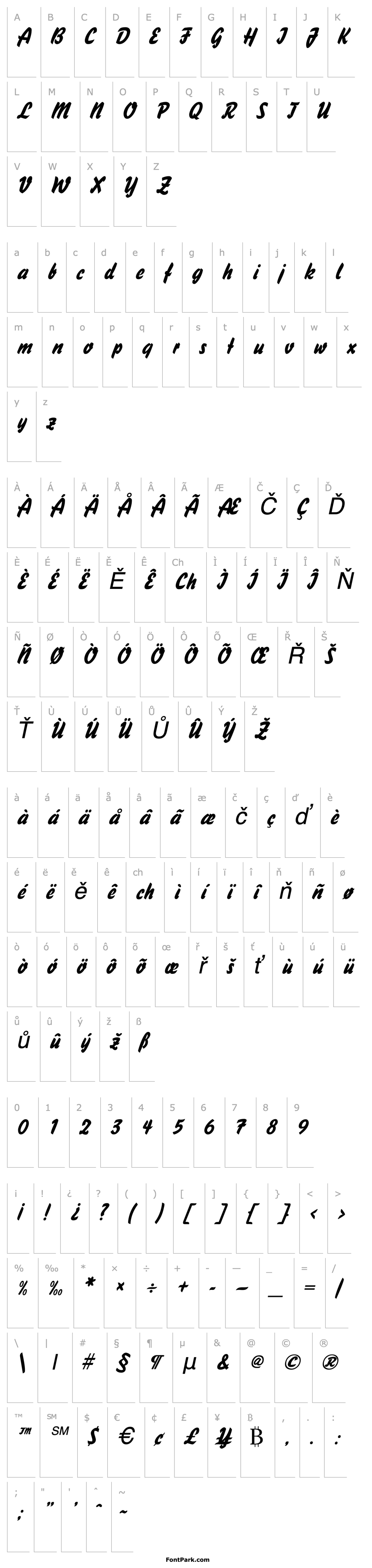 Overview Handybrush Italic