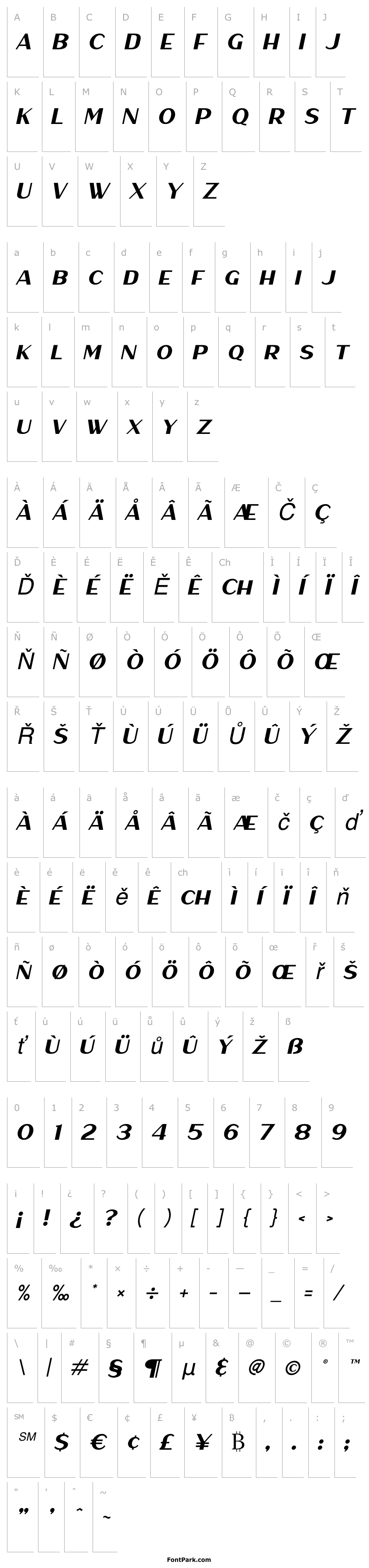 Overview HaarlemSans-Italic