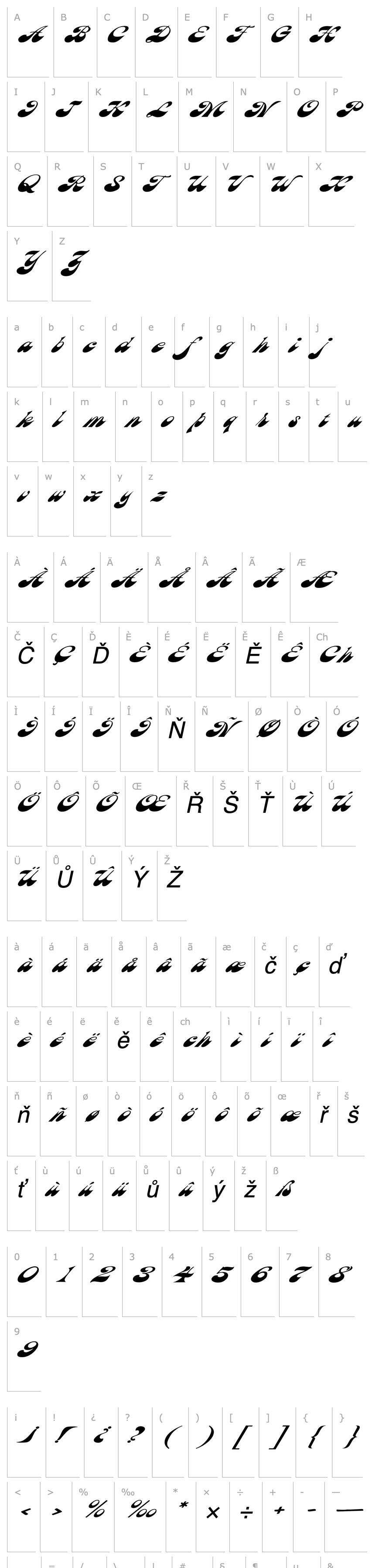 Overview HaightExtended Oblique