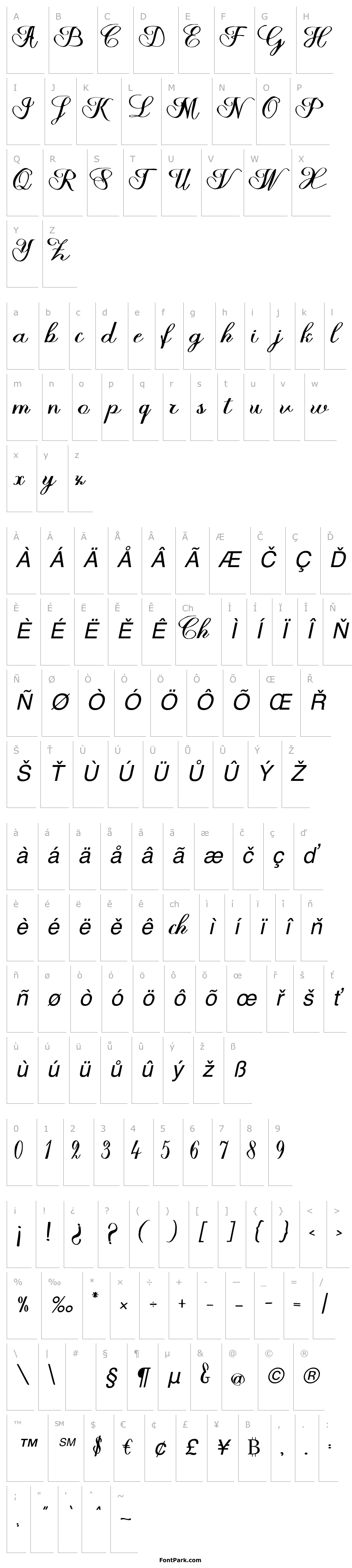 Přehled HalfesikaScript-Regular