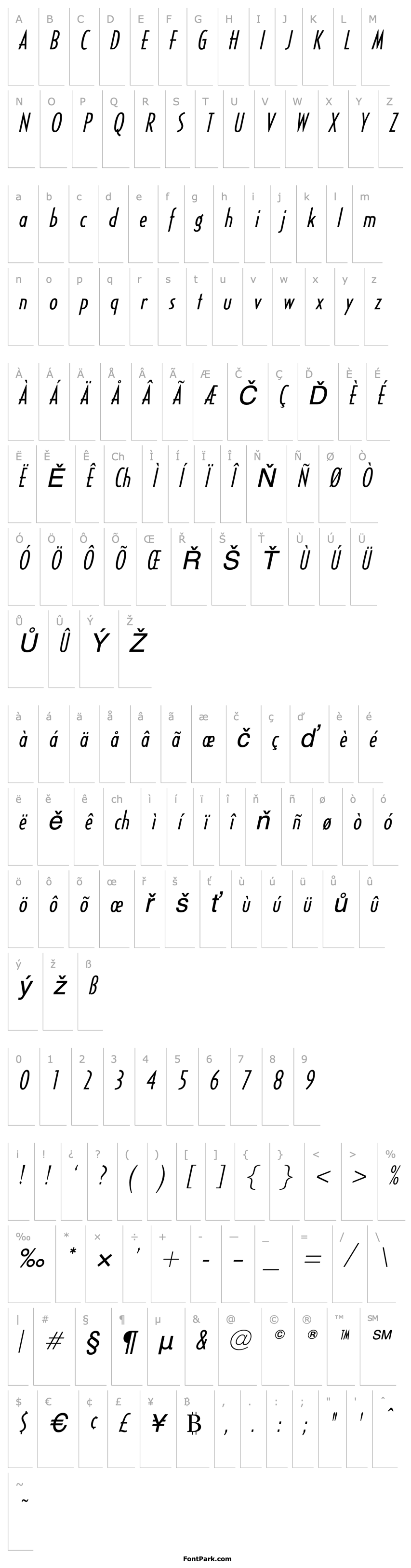 Overview HalseyLightCondSSK Italic