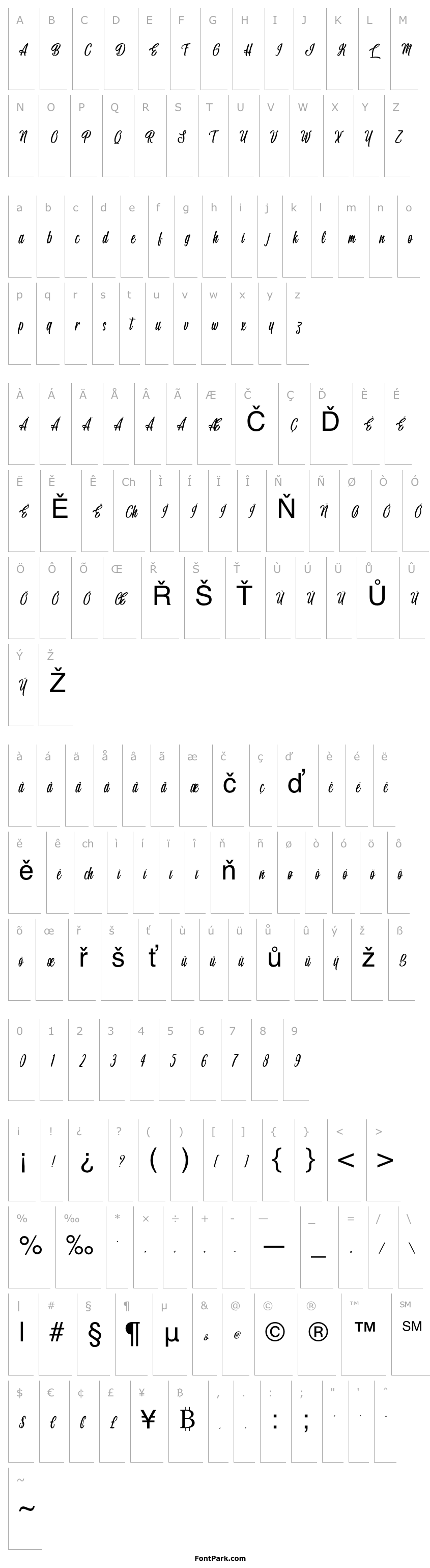 Přehled Handsome Boss - Personal Use