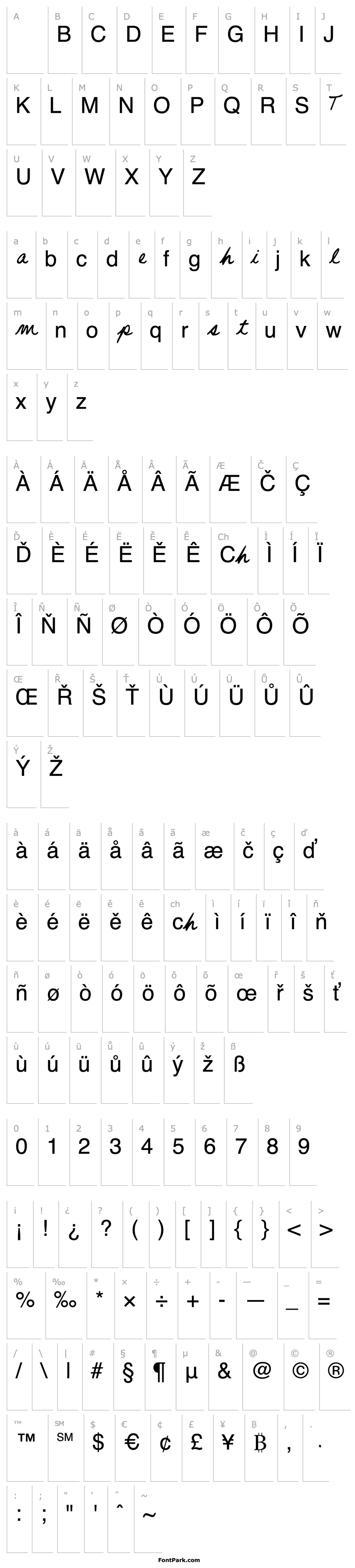 Overview Handwriting Script