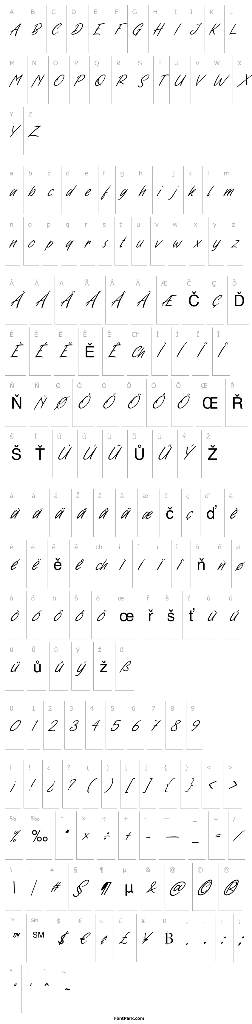 Overview Handwritten Italic