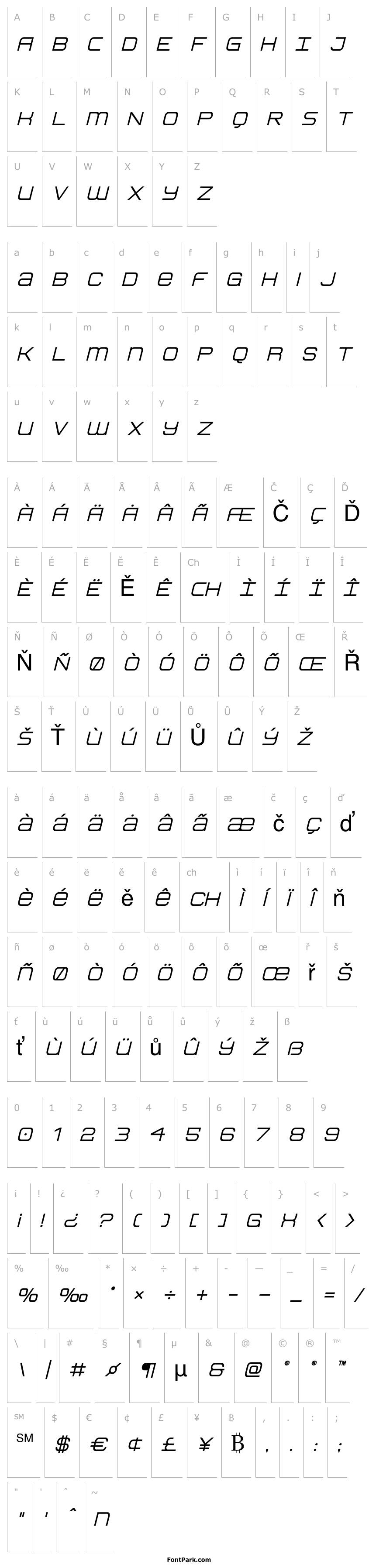 Overview Head Human Heavy Italic