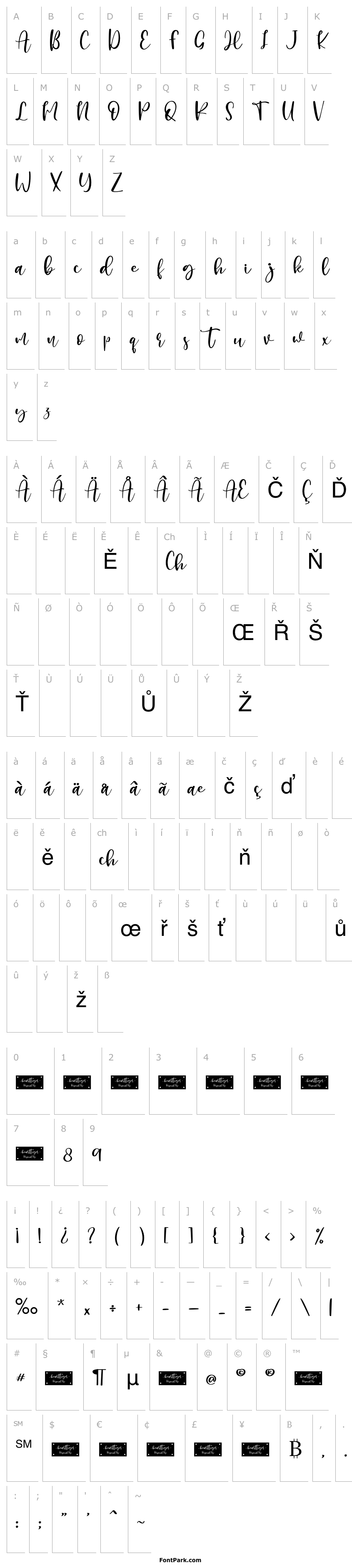 Overview Hearttiger - Personal Use