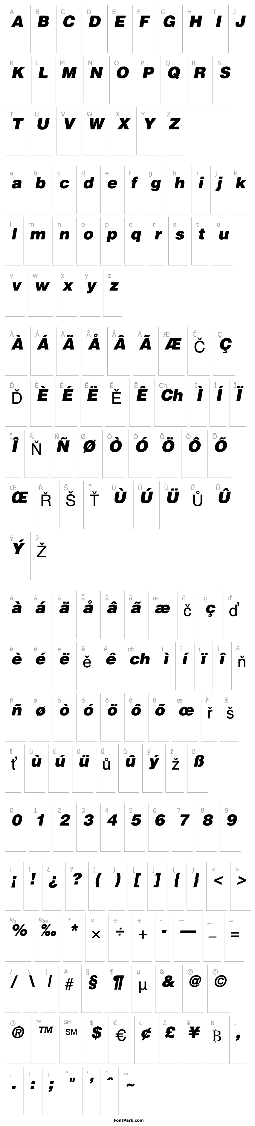 Overview Helvetica BlackItalic