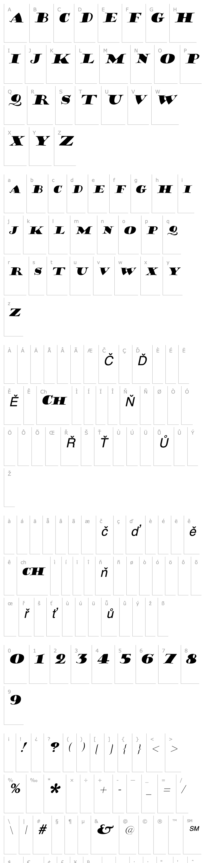 Přehled Hermann Italic