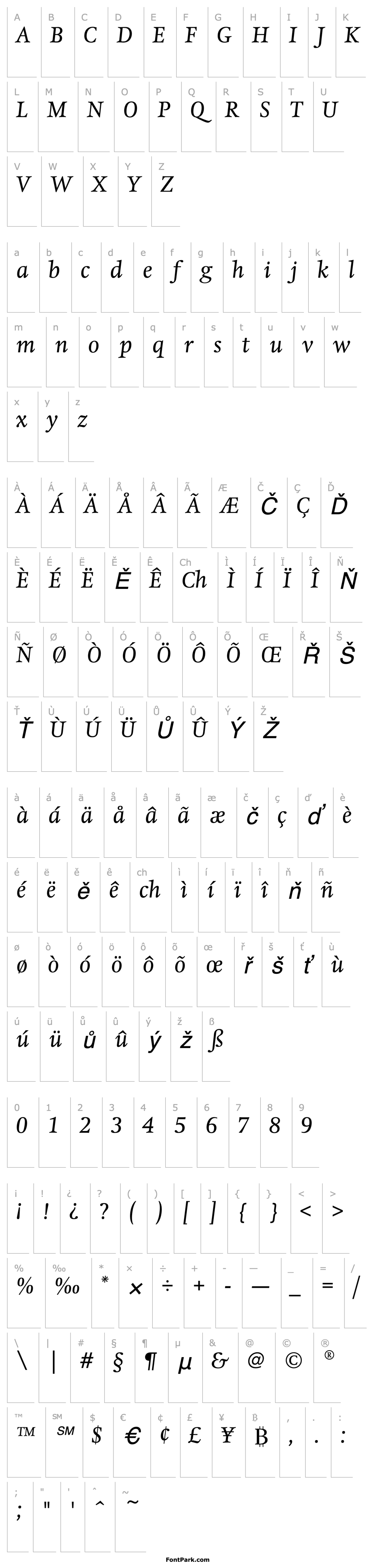 Přehled HollanderEF-RegularItalic