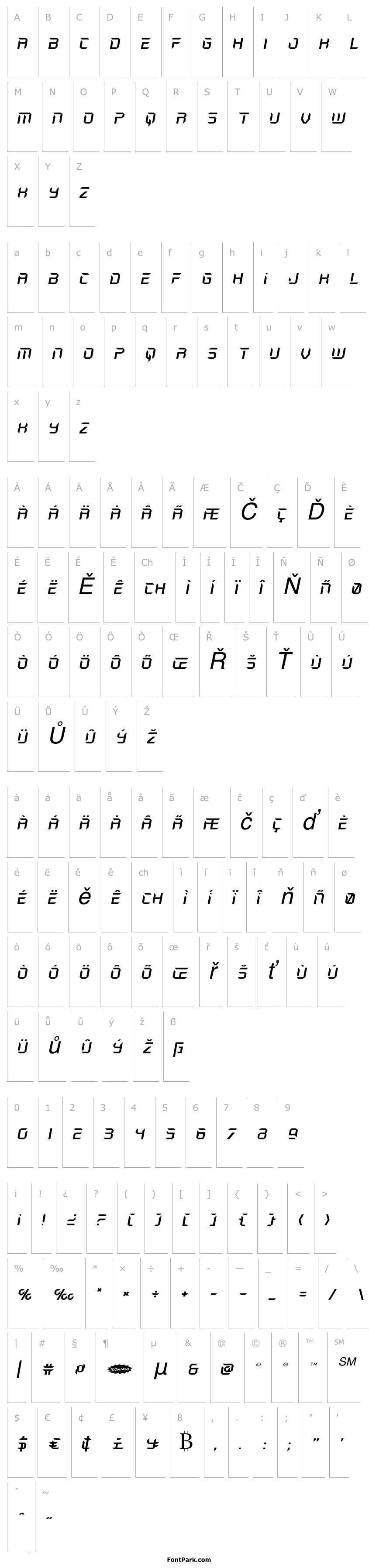 Overview Holo-Jacket Expanded Italic