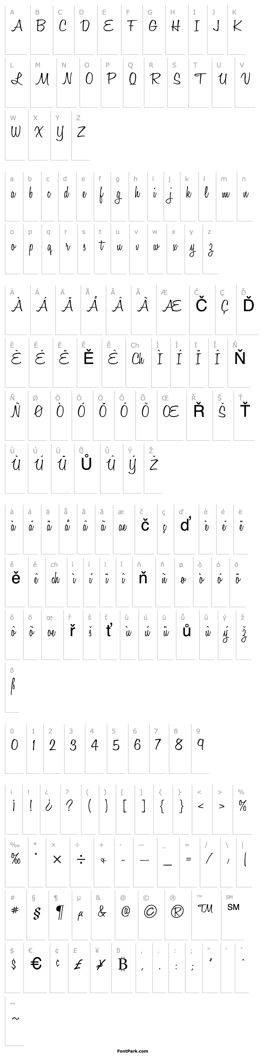 Overview HoneyScript Light