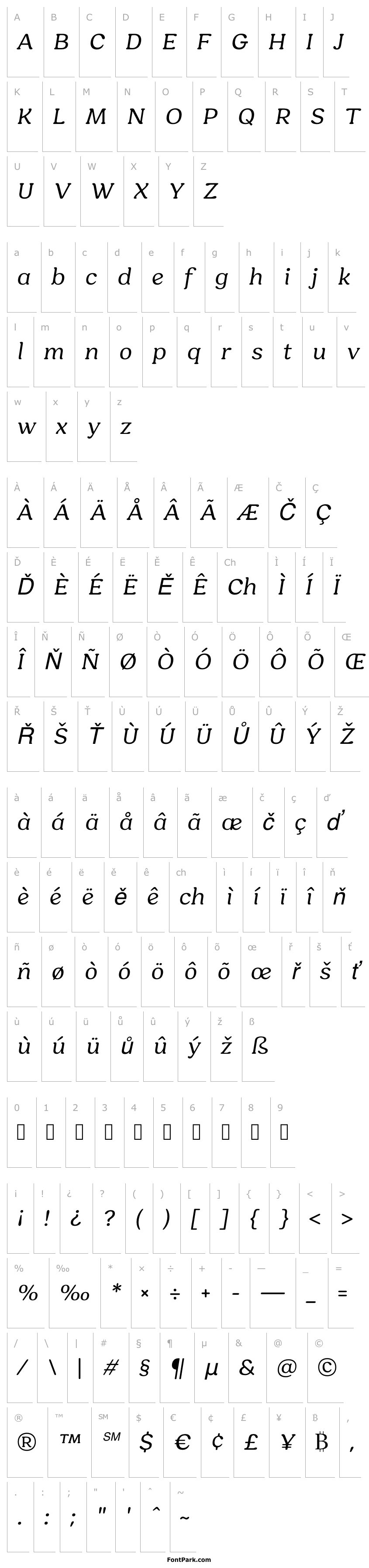 Overview HornbillPersonalUse-Italic