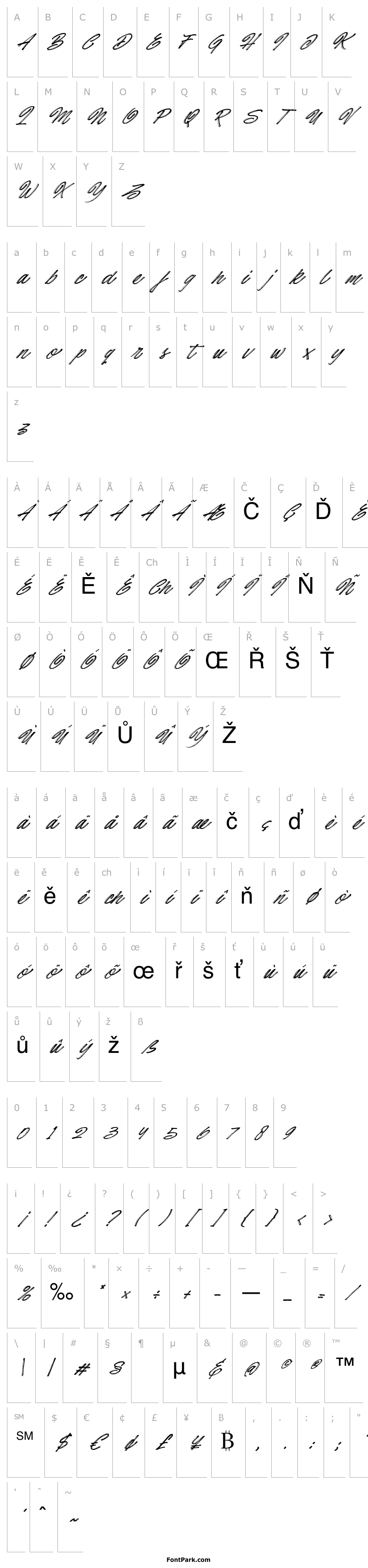 Přehled Hotte Brush Italic