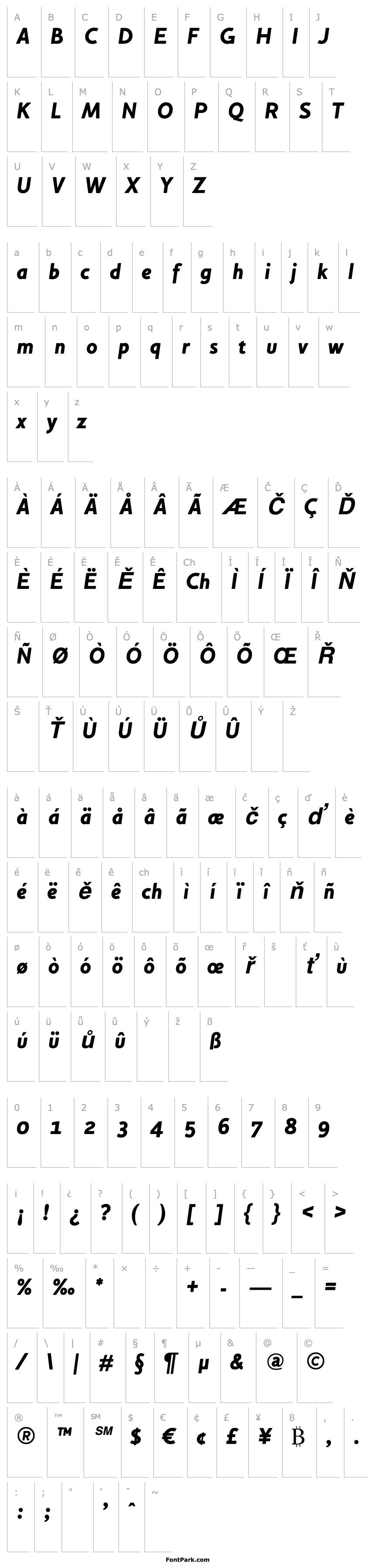 Overview HouschkaAltBlackItalic