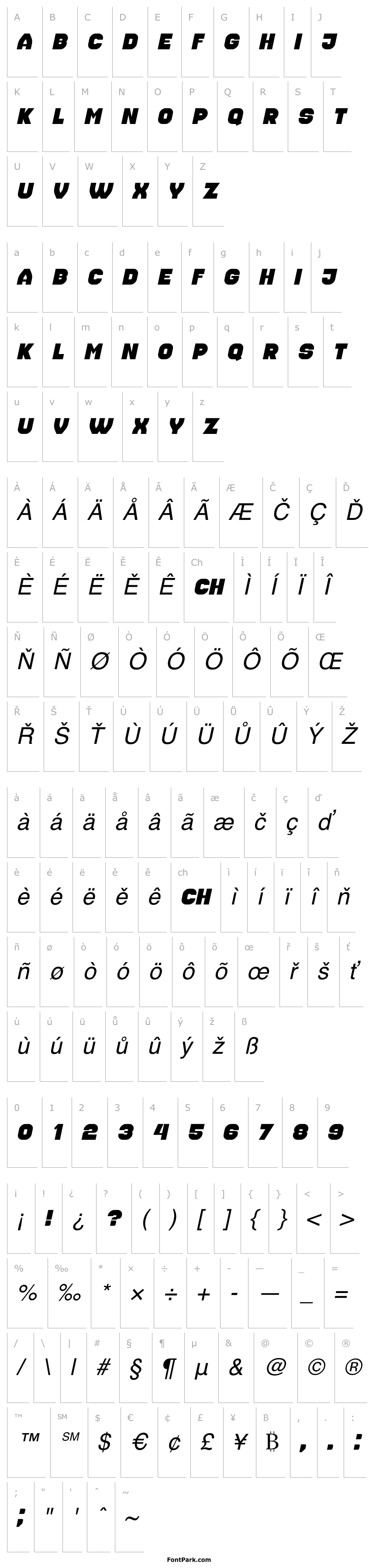 Overview Housebreak Italic