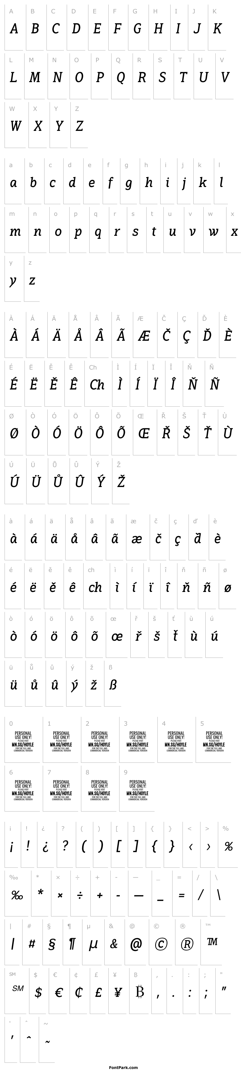 Přehled Hoyle PERSONAL USE ONLY Regular Italic