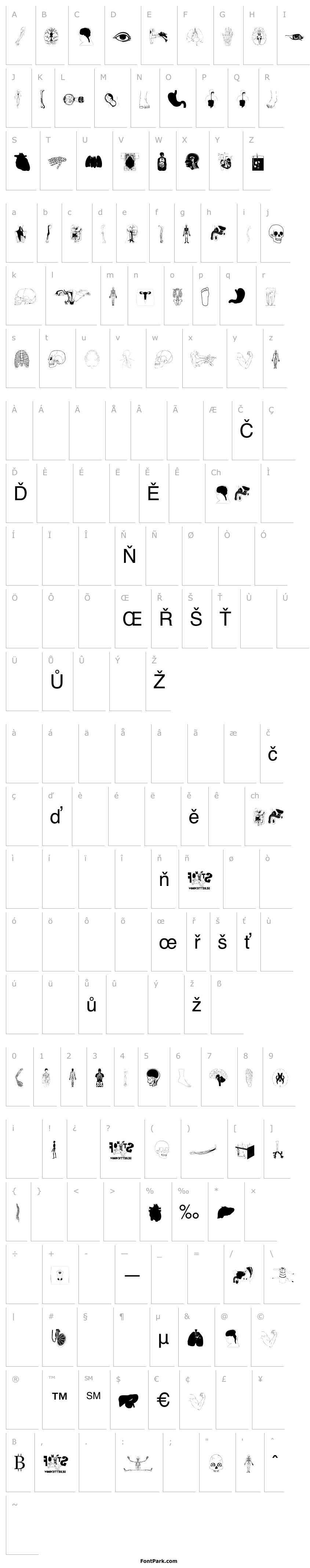 Přehled Human Body Parts