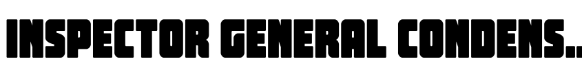 Preview Inspector General Condensed