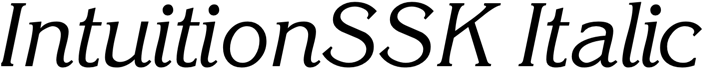 Preview IntuitionSSK Italic