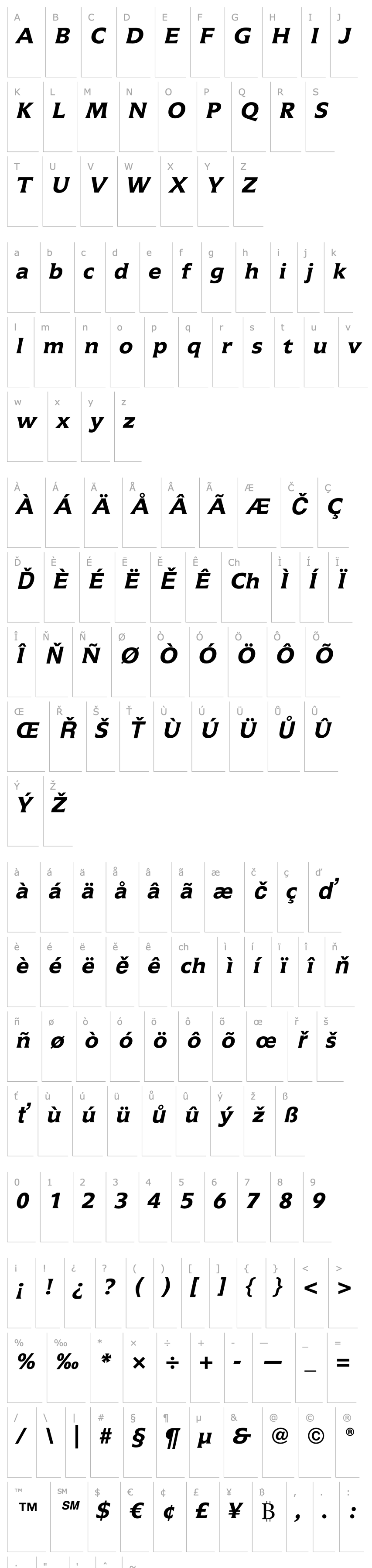 Overview Icone LT Bold Italic