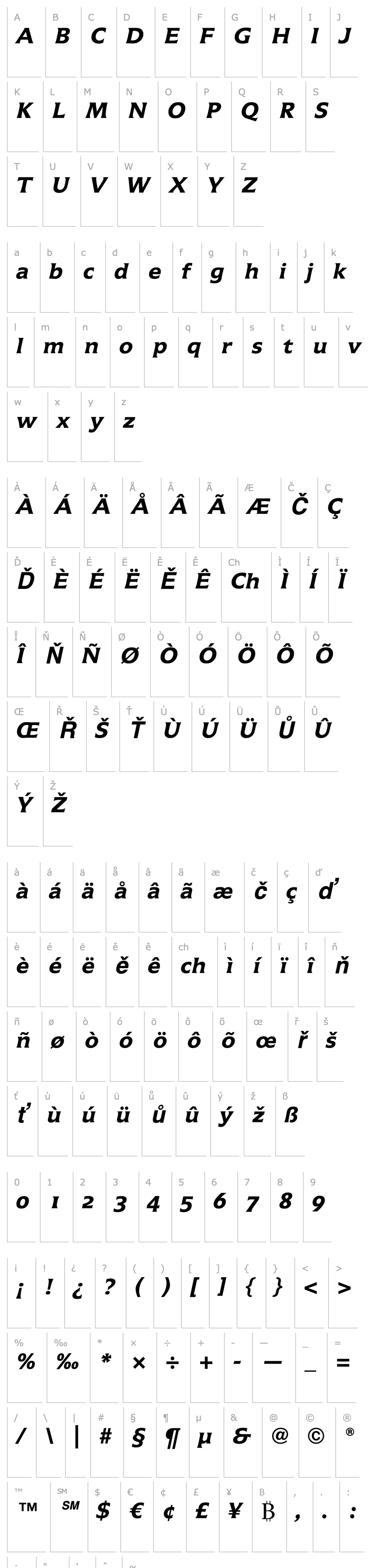 Overview Icone LT Bold Italic OsF