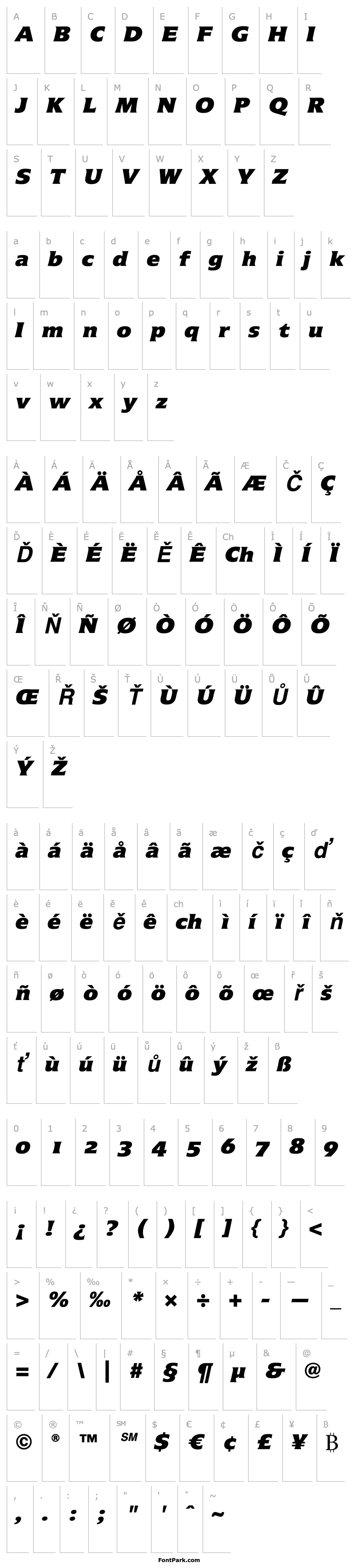 Overview Icone LT Extra Black Italic OsF