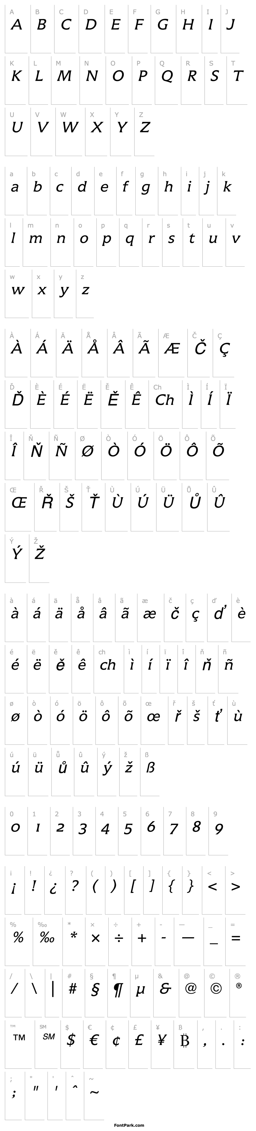 Overview Icone LT Regular Italic OsF