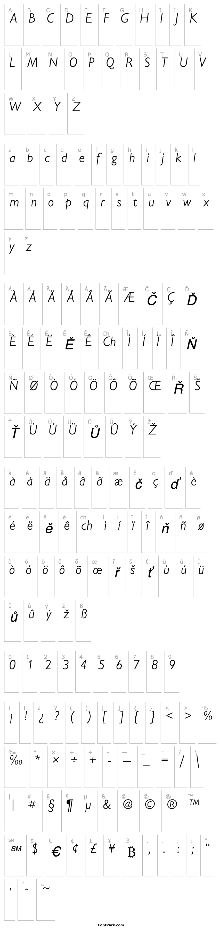 Přehled IdiomLightSSK Italic