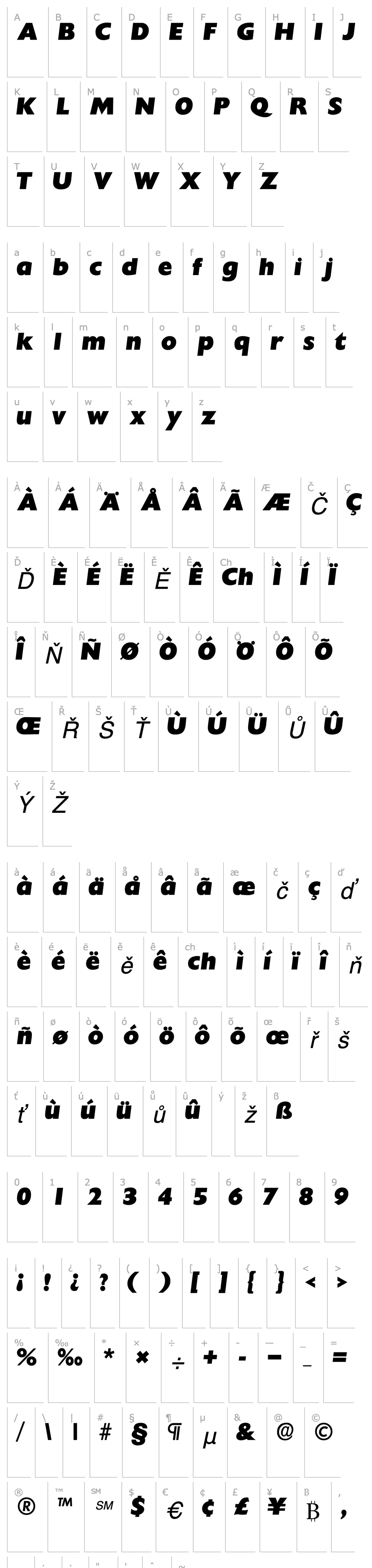 Přehled IdiomSSK Bold Italic