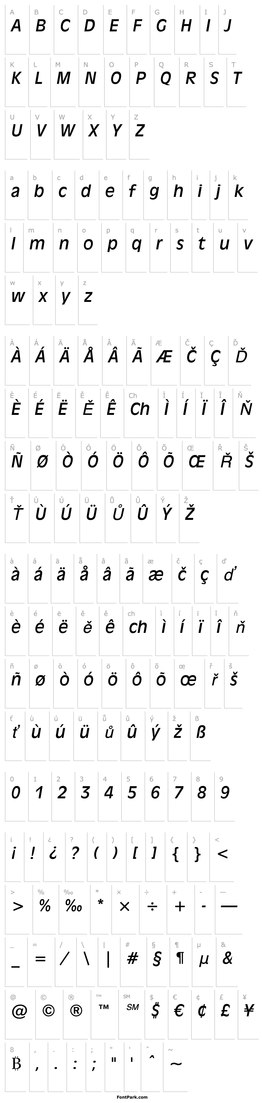 Overview Incised901 BT Italic