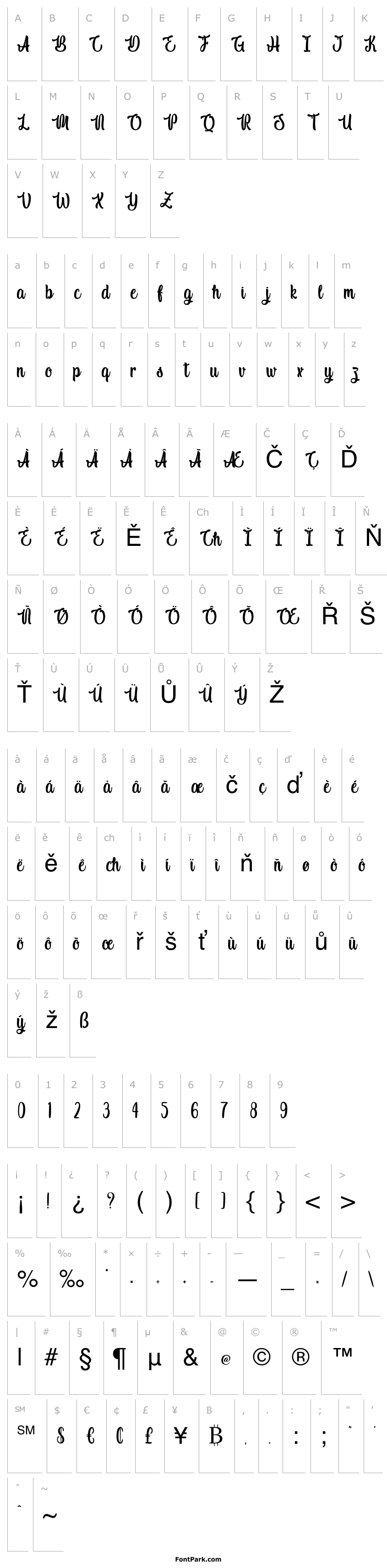 Přehled Indigo Daisy