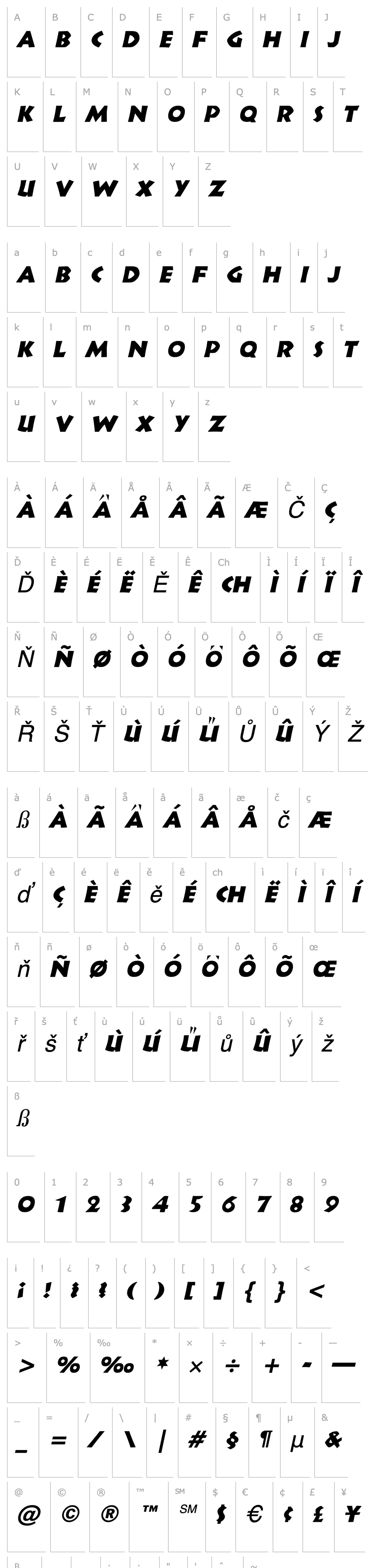 Přehled Indy Italic