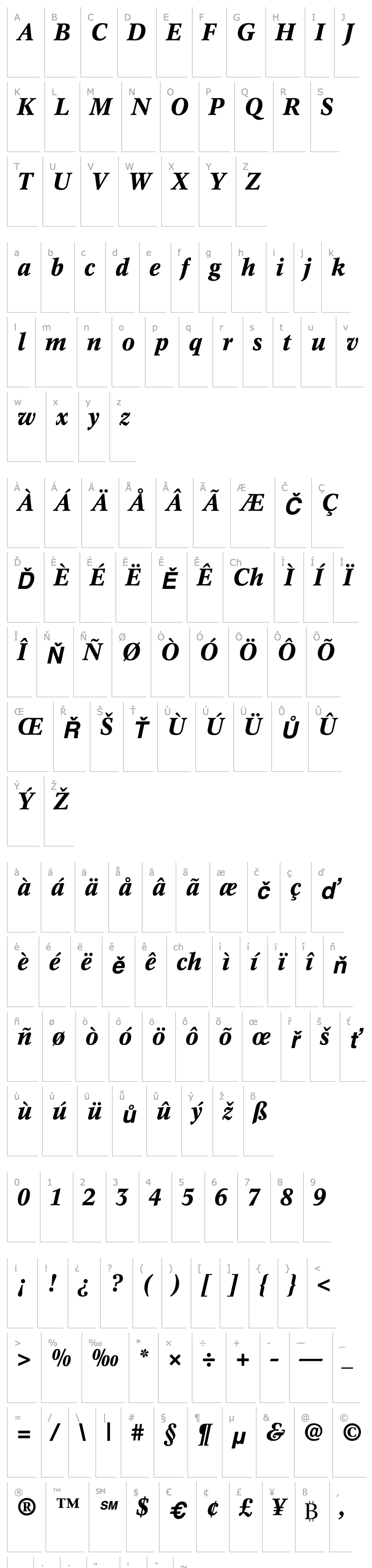 Overview Informatics SSi Bold Italic