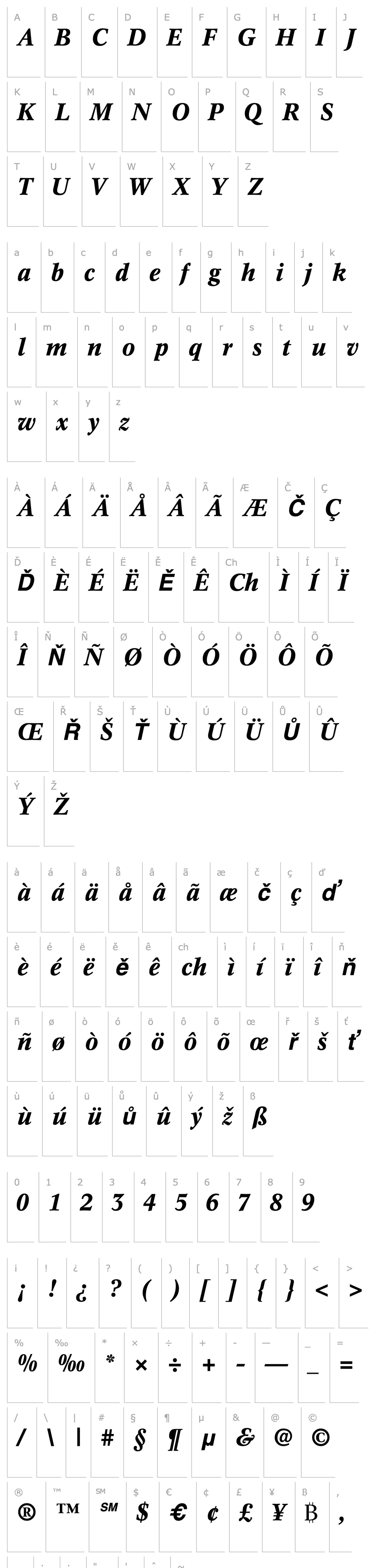 Overview InformaticsSSK Bold Italic