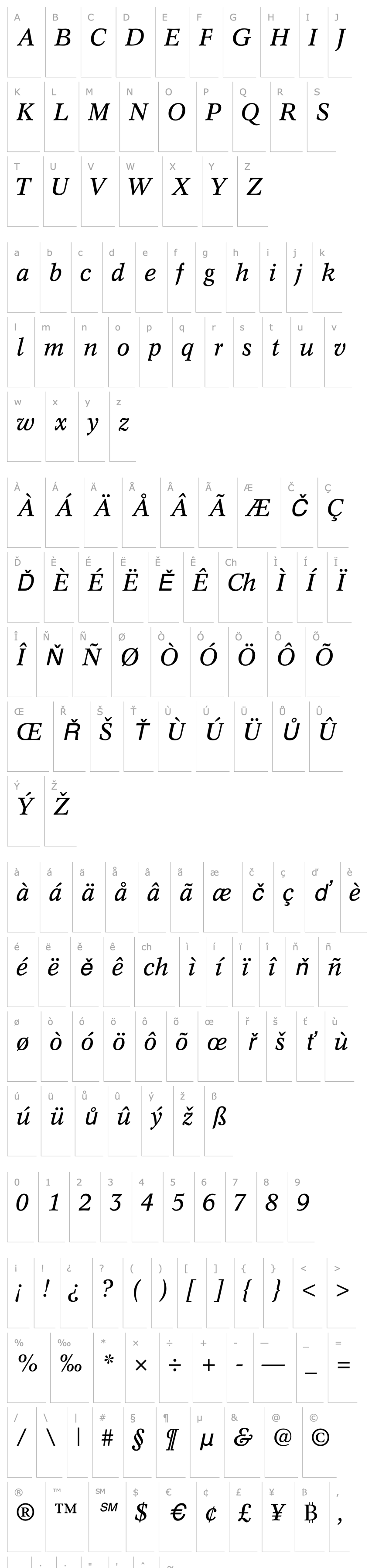 Přehled InformaticsSSK Italic