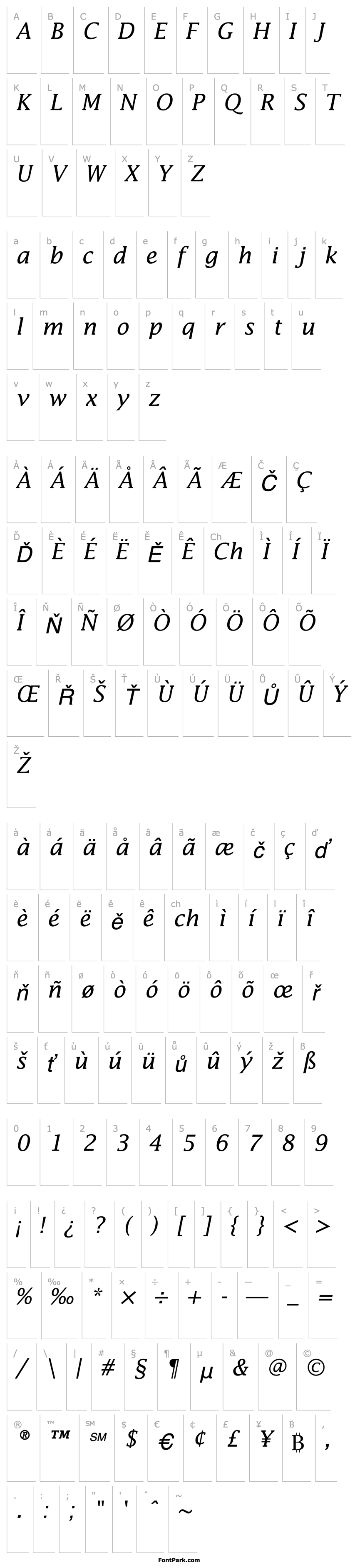 Přehled Insight SSi Italic