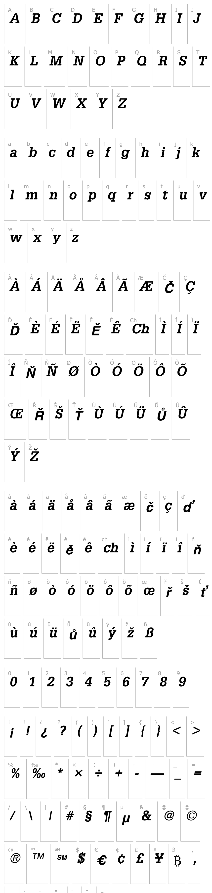 Overview Installation SSi Bold Italic