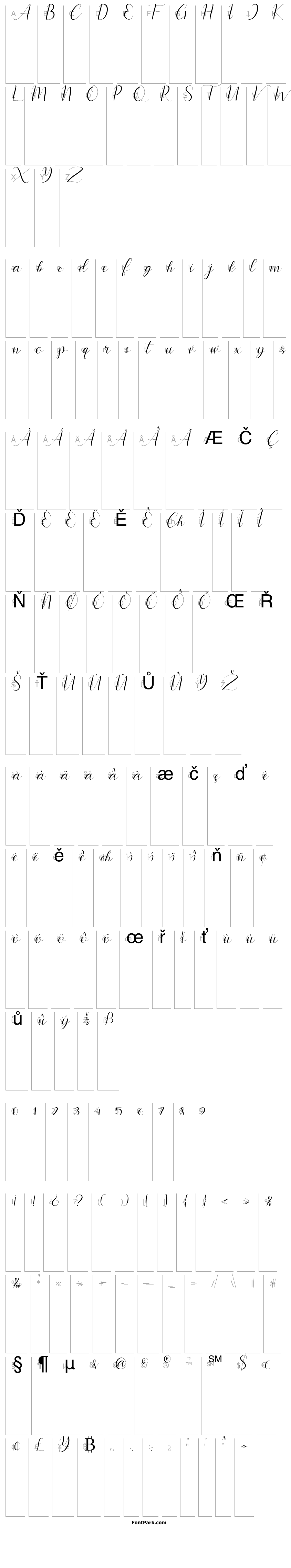 Přehled instastoryscript