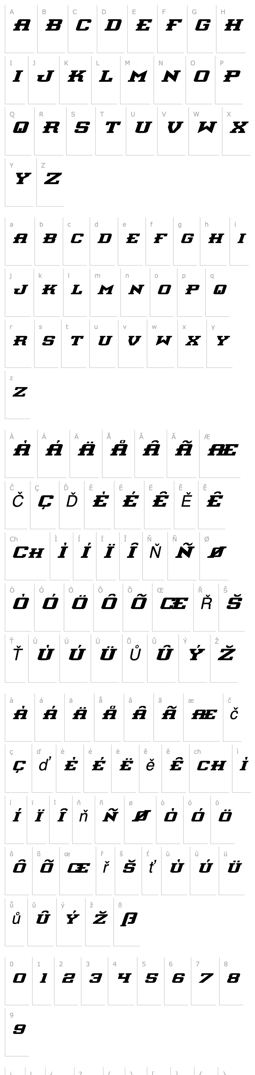 Overview Interceptor Expanded Italic