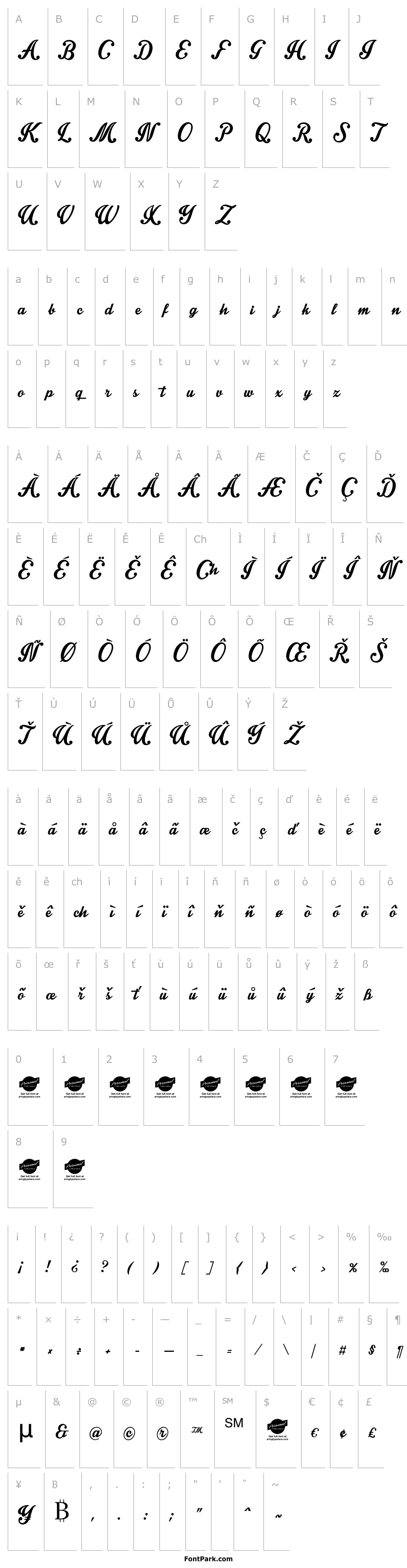 Overview Intrique Script Personal Use