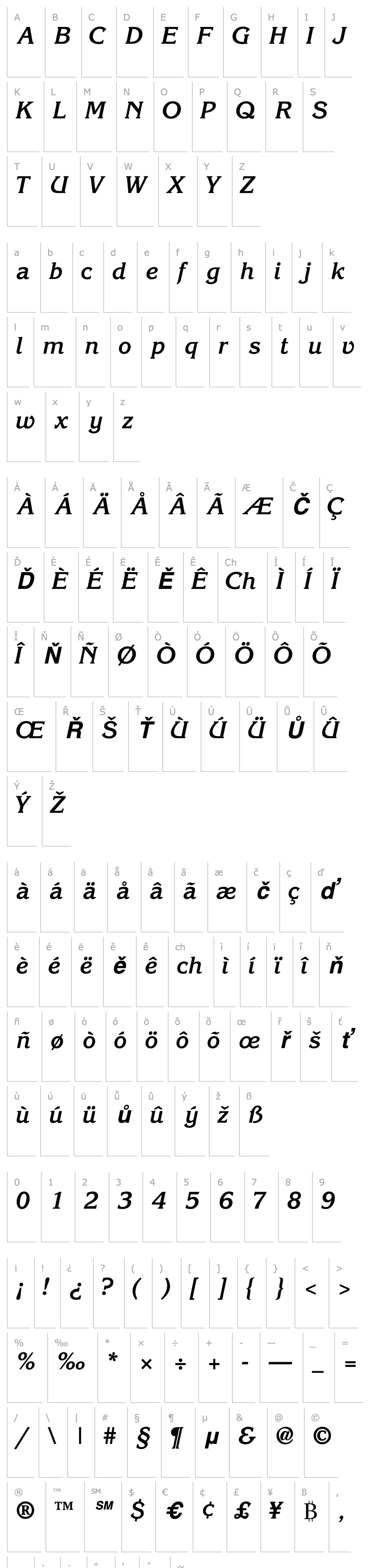 Overview IntuitionSSK Bold Italic