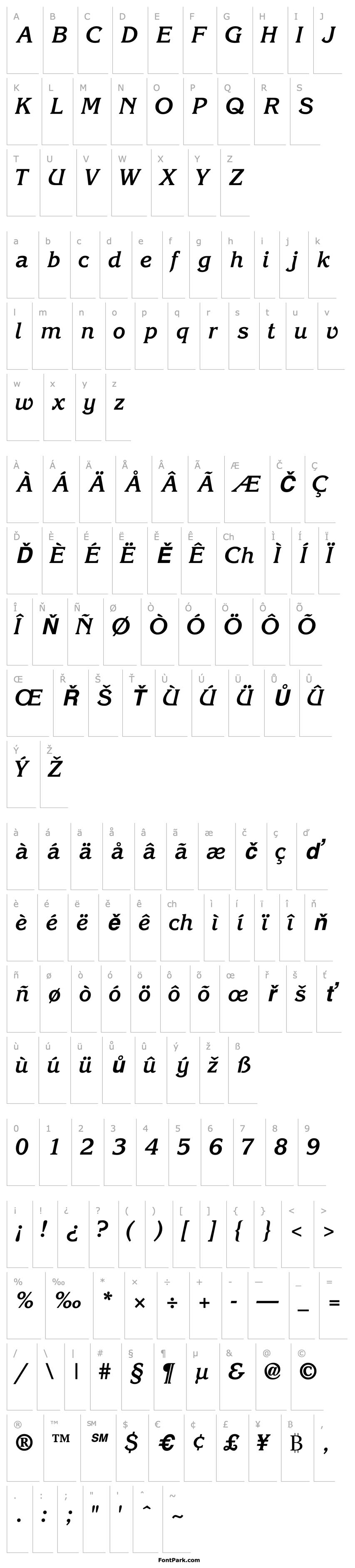 Přehled IntuitionSSK BoldItalic