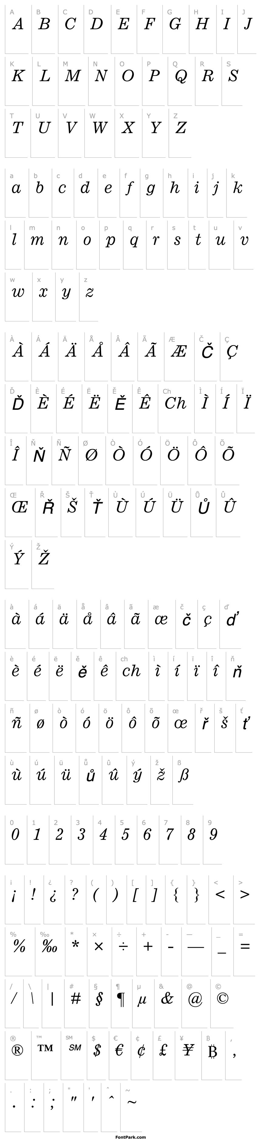 Přehled Ionic MT Std Italic