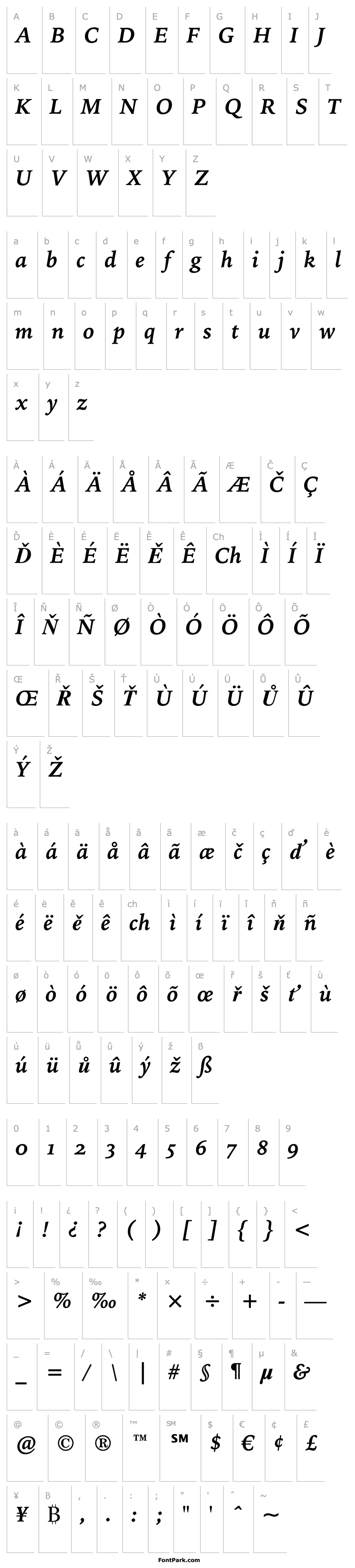 Overview IowanOldSt OSF BT Bold Italic